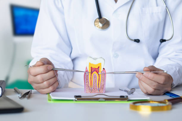 Best Emergency Wisdom Tooth Extraction in Warroad, MN